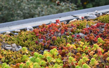 the cost of Wetheral Plain green roof installation