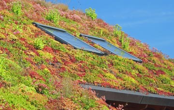 Wetheral Plain living roof systems