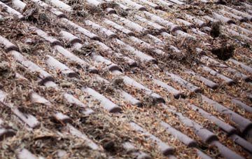 Wetheral Plain roof cleaning companies